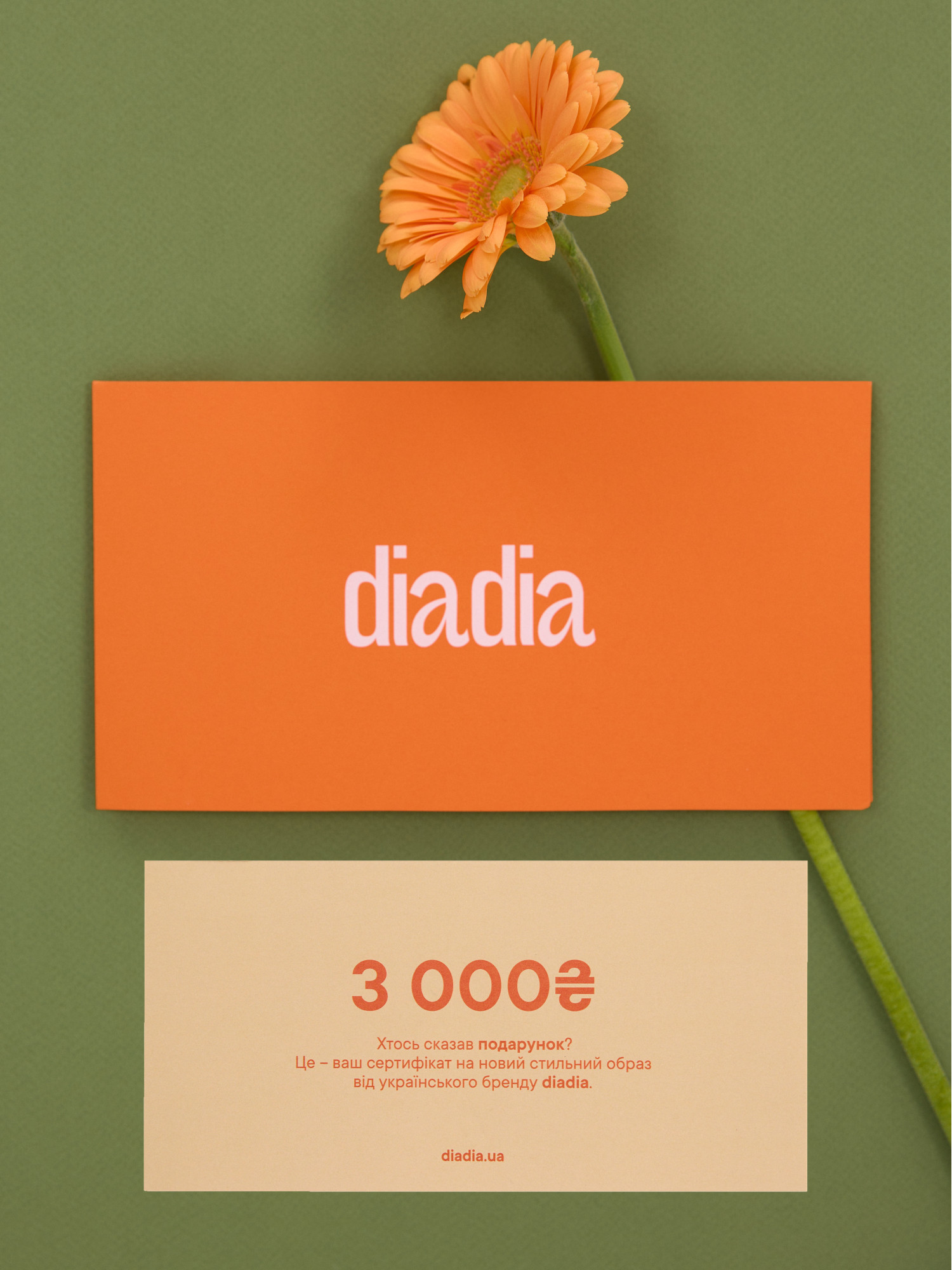 Gift Certificate 3000